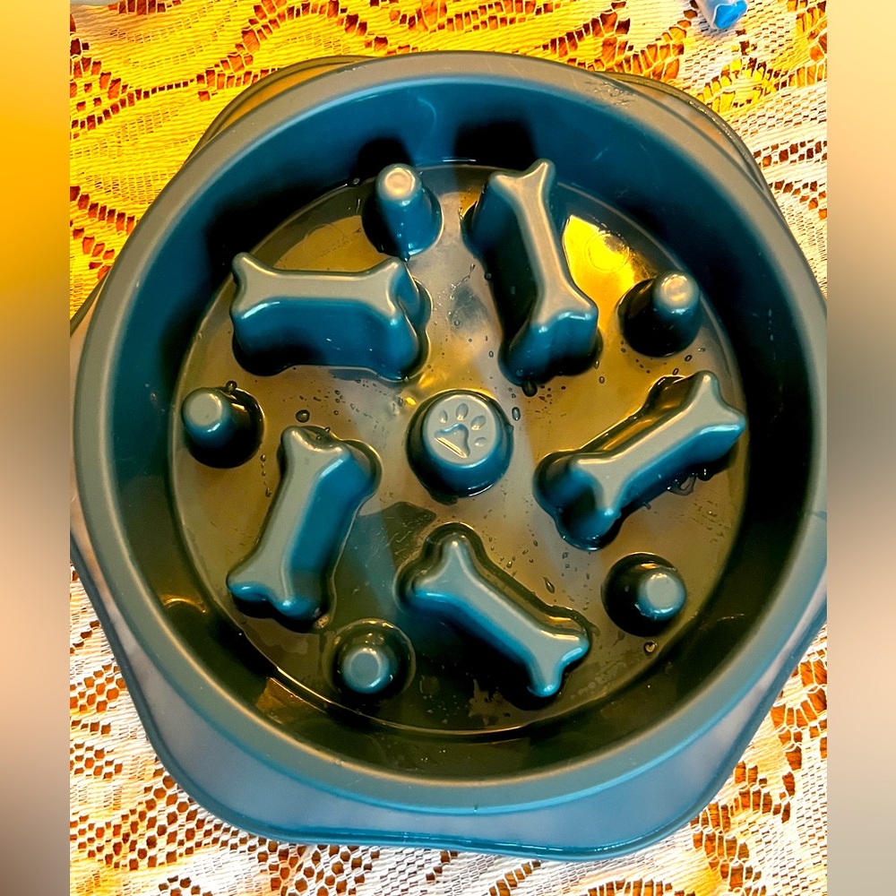 Teal Slow Feeder Dog Bowl